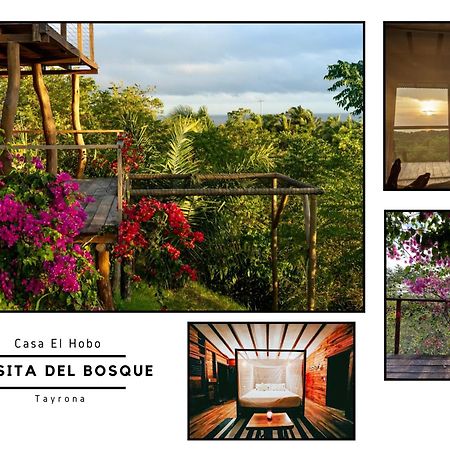 فيلا La Casita Del Bosque سانتا مارتا المظهر الخارجي الصورة