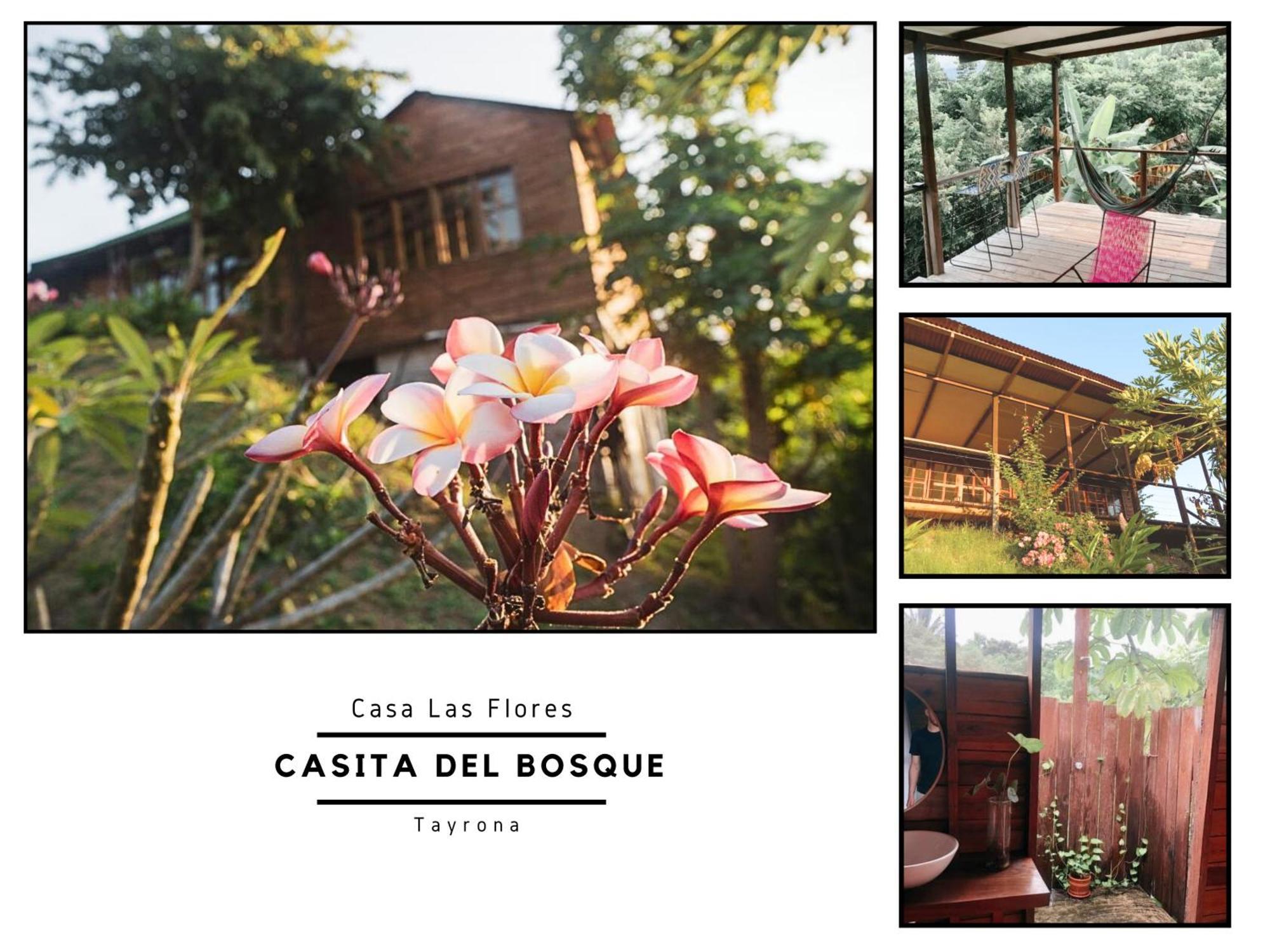 فيلا La Casita Del Bosque سانتا مارتا المظهر الخارجي الصورة